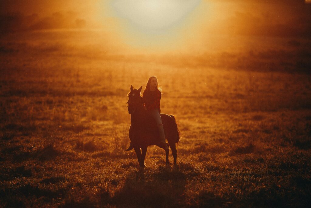 brown field during sunset