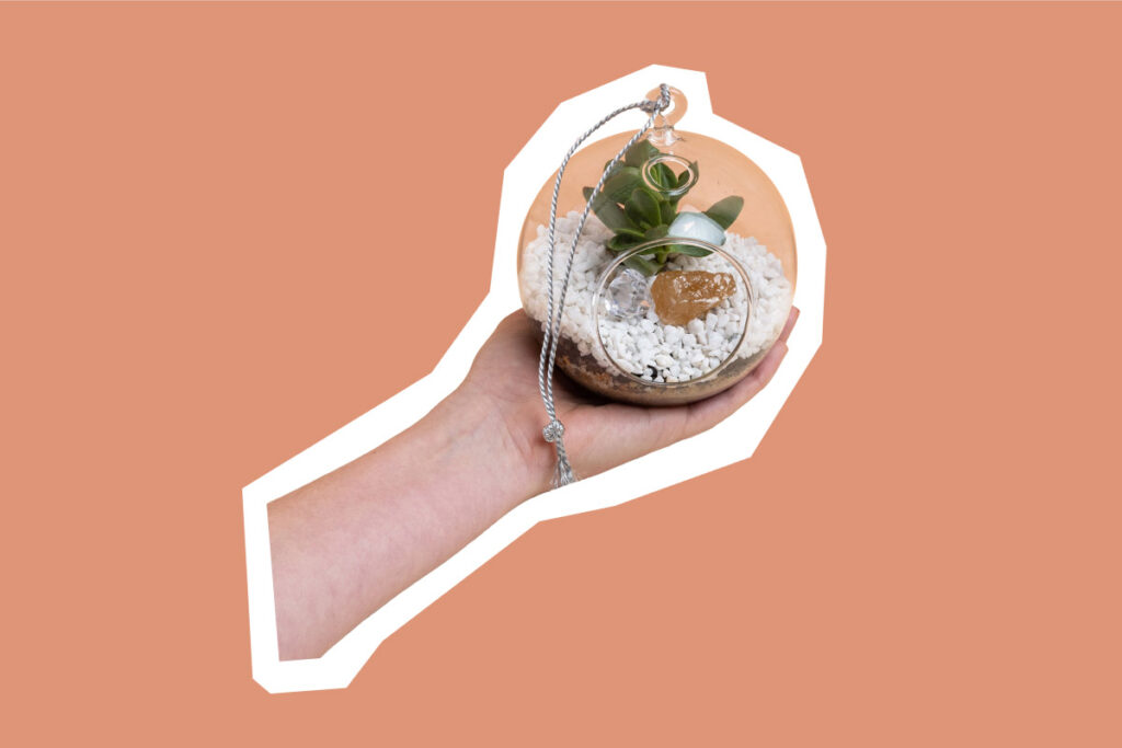 person holding terrarium in one hand